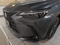 2025 Lexus NX 350-1