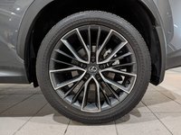 2025 Lexus NX 350-5
