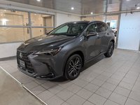2025 Lexus NX 350-0