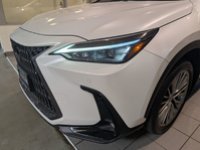 2025 Lexus NX 350 LUXURY PACKAGE-1
