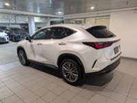 2025 Lexus NX 350 LUXURY PACKAGE-3