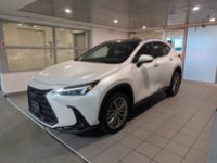 2025 Lexus NX 350 LUXURY PACKAGE-0