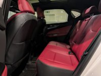 2025 Lexus NX 350 LUXURY PACKAGE-7