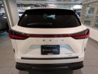 2025 Lexus NX 350 LUXURY PACKAGE-4