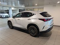 2025 Lexus NX 350 PREMIUM PACKAGE-2