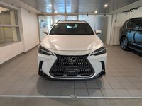 2025 Lexus NX 350 PREMIUM PACKAGE-1
