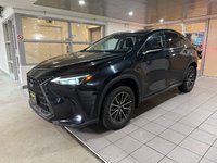 2022 Lexus NX 350h-0
