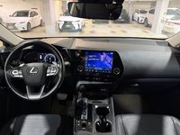 2022 Lexus NX 350h-3