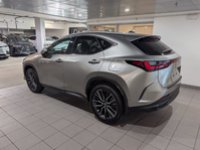 2022 Lexus NX 350h-3