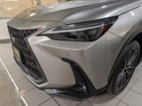 2022 Lexus NX 350h-2