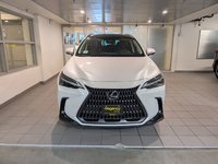 2022 Lexus NX 350h-1