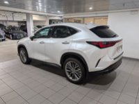 2022 Lexus NX 350h-2