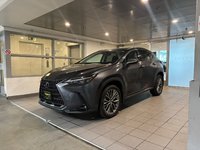 2022 Lexus NX 350h-0