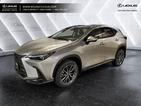 2023 Lexus NX 350h-0