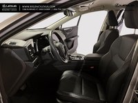 2023 Lexus NX 350h-4
