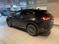 2023 Lexus NX 350h-2