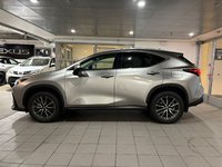 2023 Lexus NX 350h-2