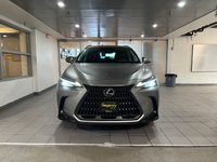2023 Lexus NX 350h-1