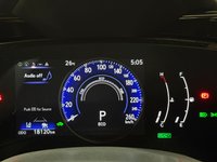 2023 Lexus NX 350h-4