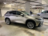 2024 Lexus NX 350h-3