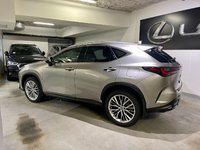 2024 Lexus NX 350h-5