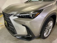 2024 Lexus NX 350h-1