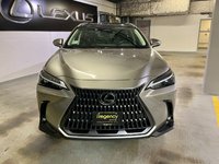 2024 Lexus NX 350h-2