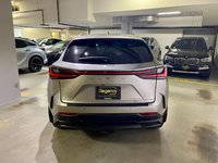 2024 Lexus NX 350h-4