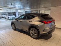 2024 Lexus NX 350h-2