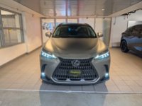 2024 Lexus NX 350h-1