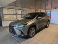 2024 Lexus NX 350h-0