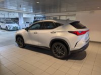 2024 Lexus NX 350h-2