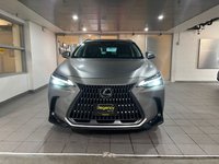 2024 Lexus NX 350h-1