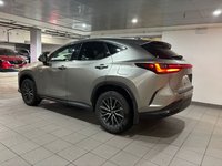 2024 Lexus NX 350h-3