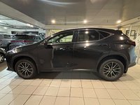 2024 Lexus NX 350h-2