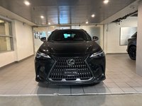 2024 Lexus NX 350h-1