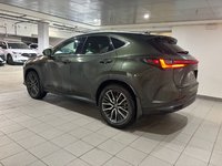 2025 Lexus NX350h EXECUTIVE PACKAGE NX 350h-3