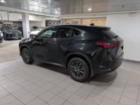 2025 Lexus NX 350h PREMIUM PACKAGE-2