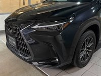 2025 Lexus NX 350h PREMIUM PACKAGE-2