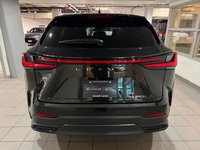 2025 Lexus NX 350h PREMIUM PACKAGE-4