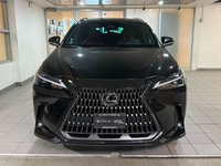 2025 Lexus NX 350h PREMIUM PACKAGE-1