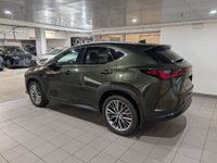 2025 Lexus NX 350h-2