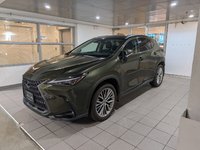 2025 Lexus NX 350h-0