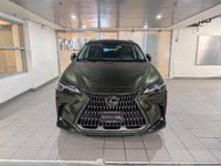 2025 Lexus NX 350h-1