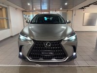 2025 Lexus NX 450h+-1