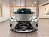 2022 Lexus NX 350h EXECUTIVE-1