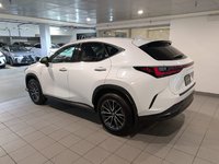 2026 Lexus NX350 PREMIUM-3