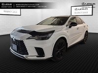 2023 Lexus RX 350-0