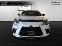 2023 Lexus RX 350-6