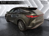 2025 Lexus RX 350 EXECUTIVE-3